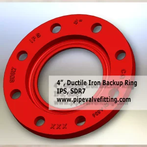 4 IN IPS BACKUP RING DI SDR7