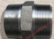 Hex Nipples-Forged Pipe Fittings