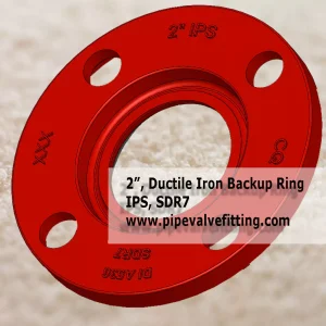 2 IN IPS BACKUP RING DI SDR7