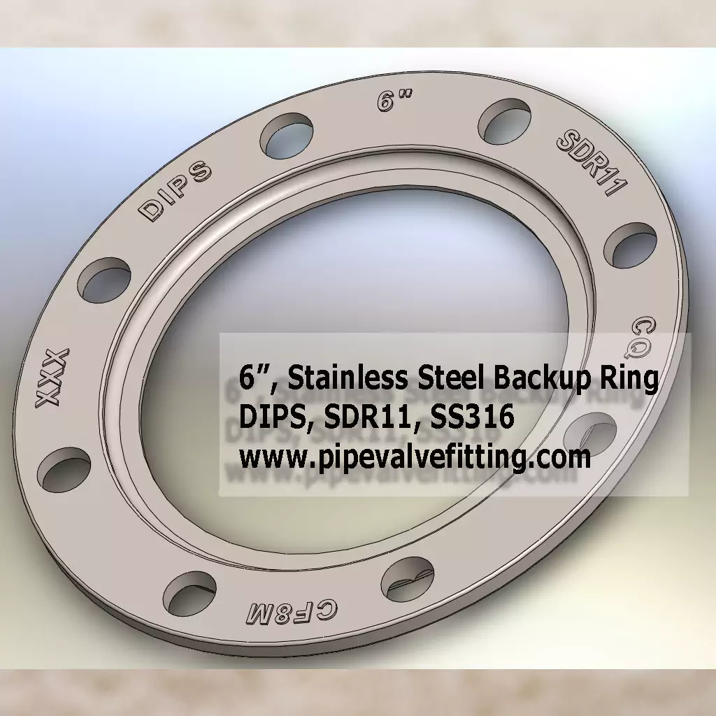 6″ DIPS Stainless Steel Backup Ring