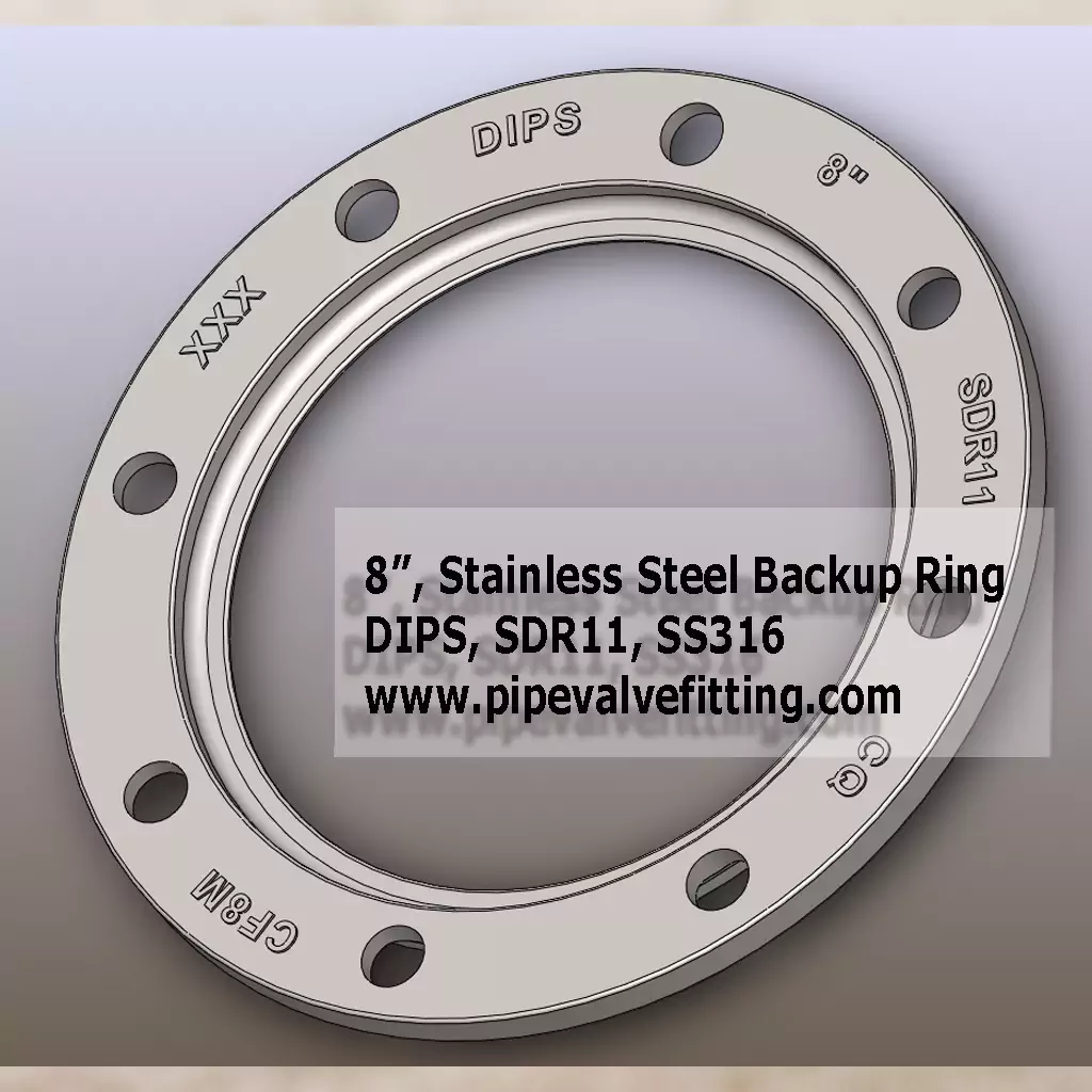 8″ DIPS Stainless Steel Backup Ring